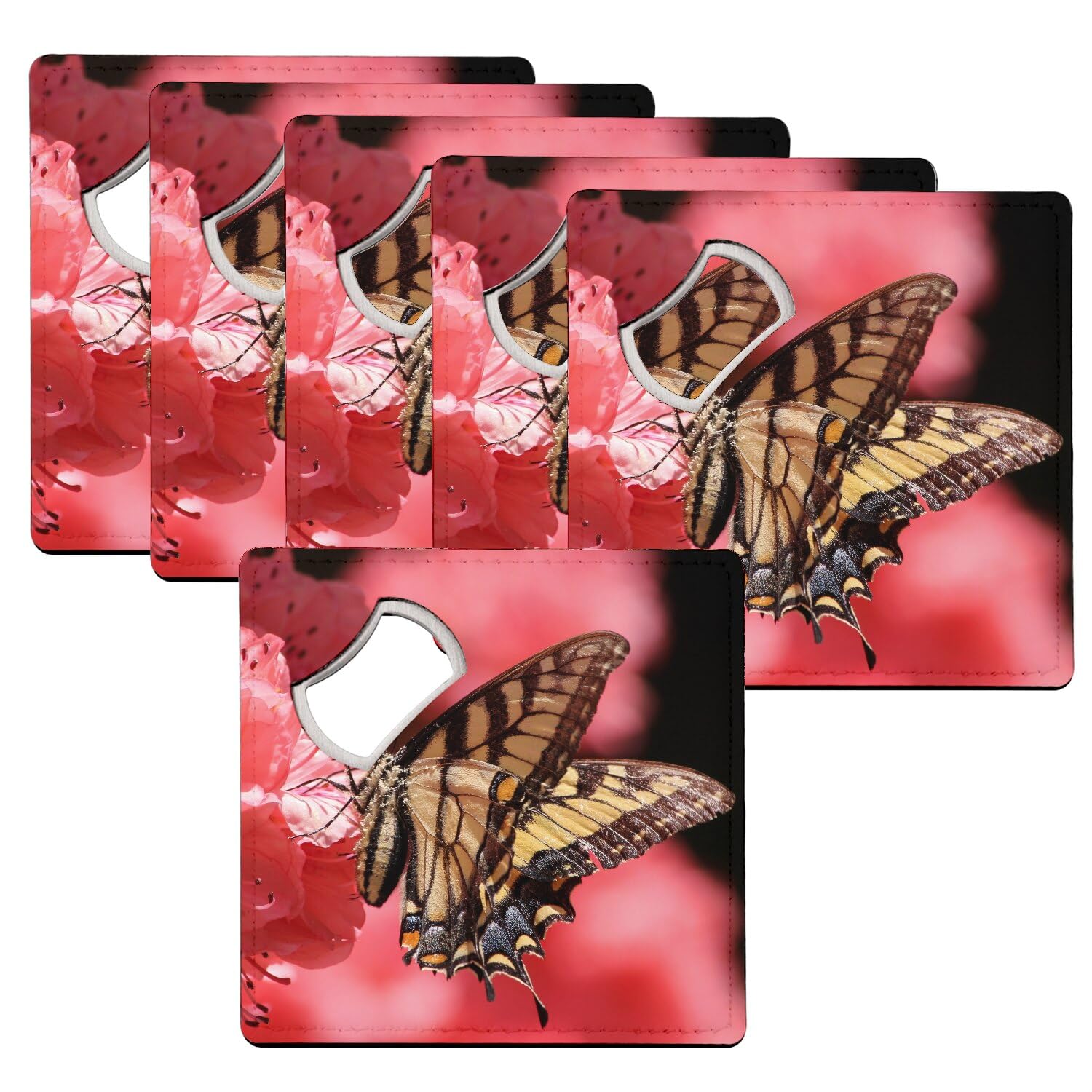 Coffret cadeau 6 sous-verre décapsuleurs papillon tigré pour amateurs de nature