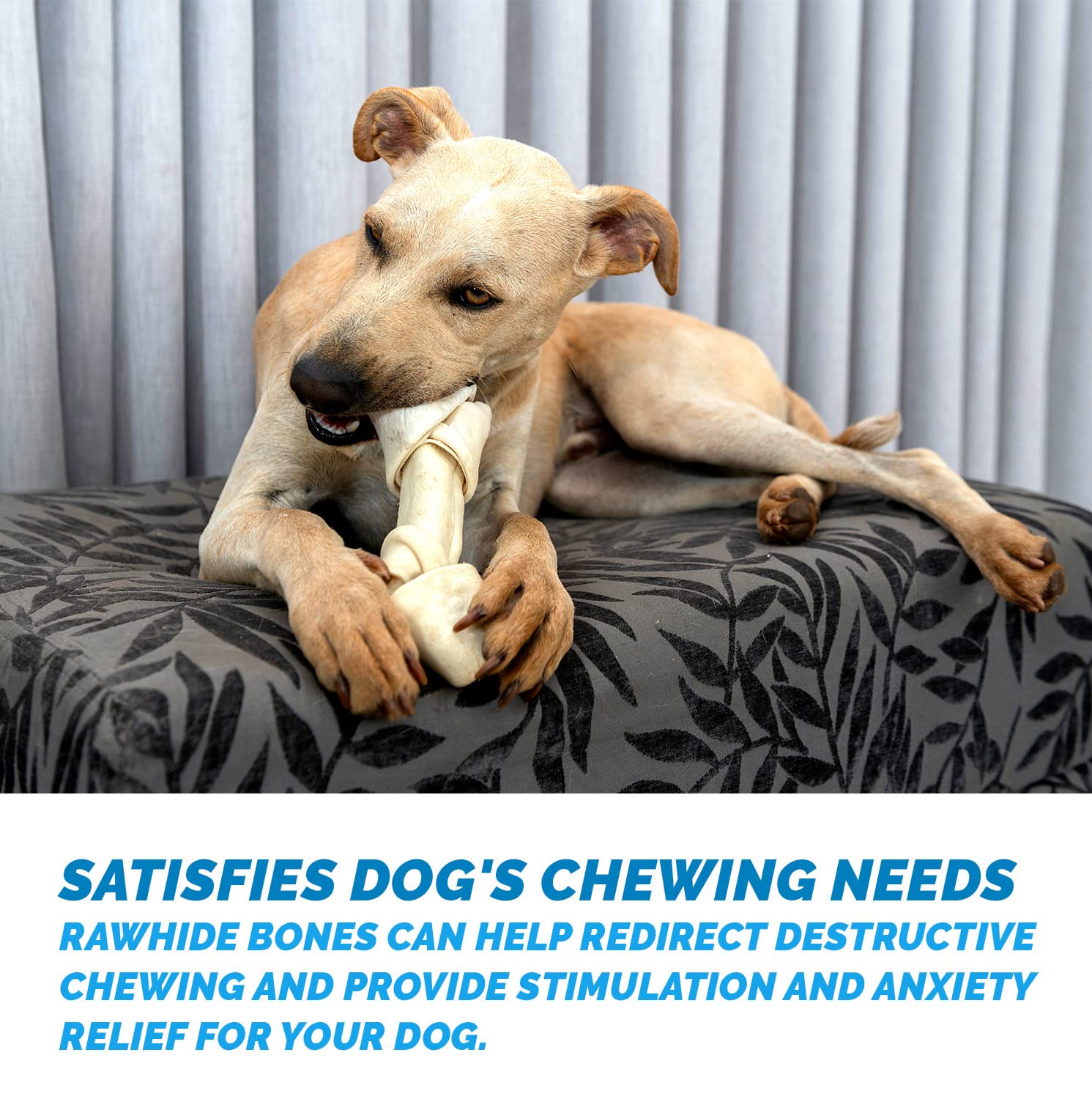 What Age Can A Puppy Have Rawhide