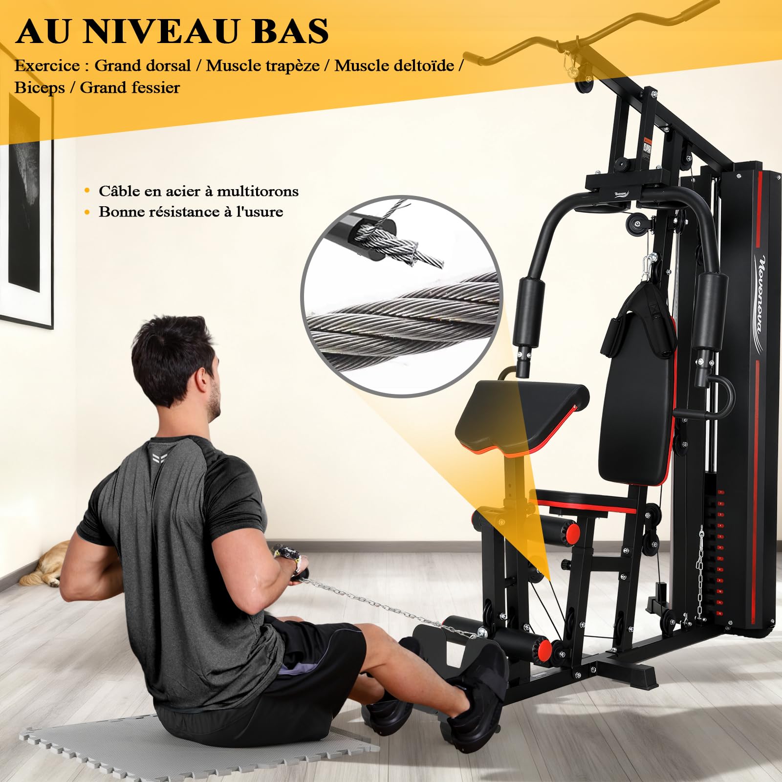 Station de Musculation Multifonction, Banc de Musculation Complet, Barre de Traction Cage Station Machine Musculation avec Poids, Fitness Domicile Home Gym Bras/Épaules/Poitrine/Dos/Jambe