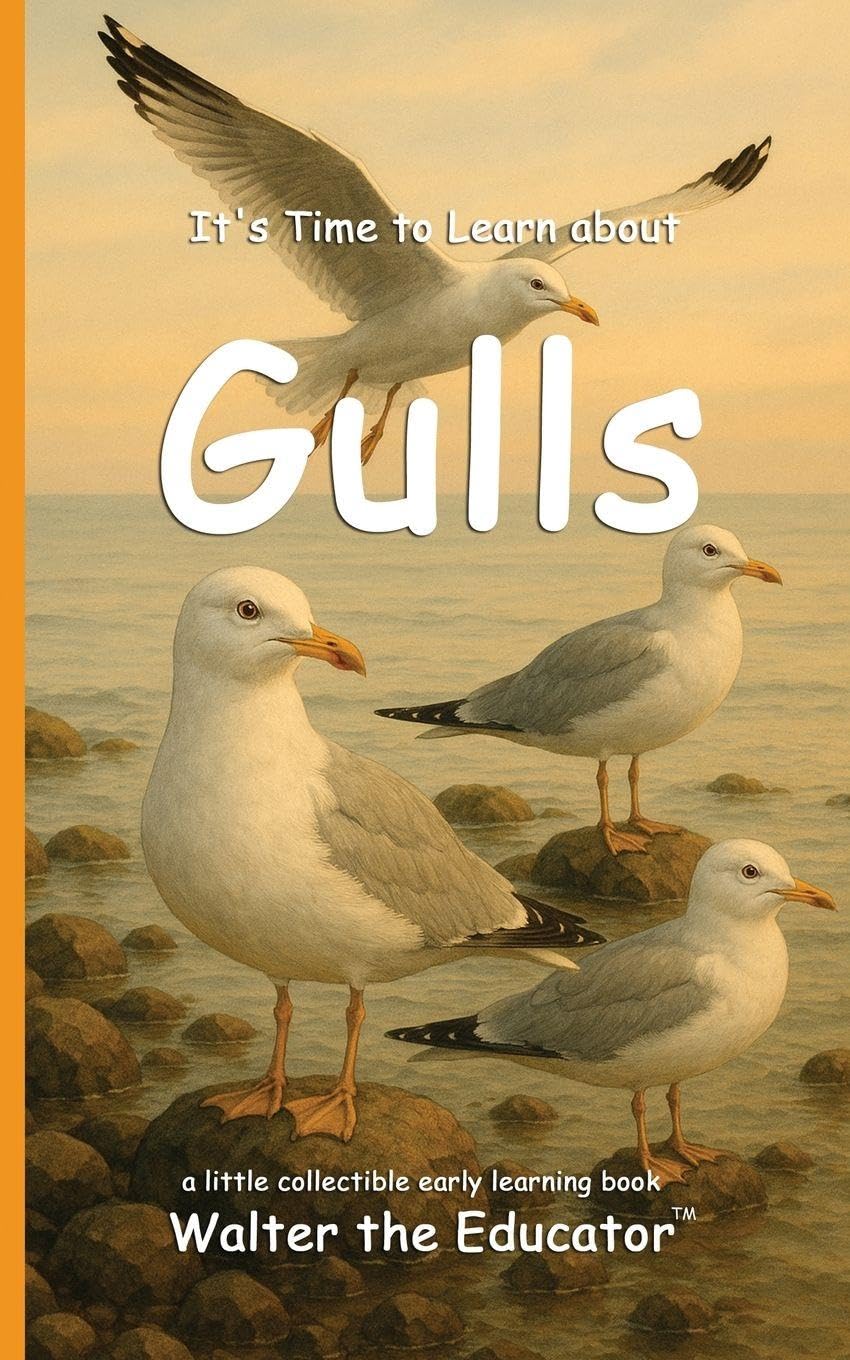 It's Time to Learn about Gulls (Walter the Educator's Collectible Early Learning Book)