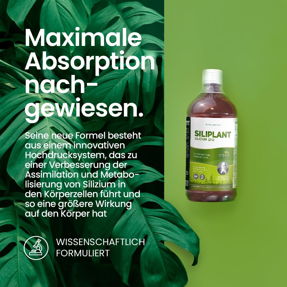 G7 Siliplant Verbesserte Formel. Silizium Flüssig auf Pflanzenbasis. Silizium Hochdosiert ideale für Knochen, Gelenke Vitamine, Haarvitamine und Nägeln. Erhöht die Elastizität der Haut. 33 Tage Kur.
