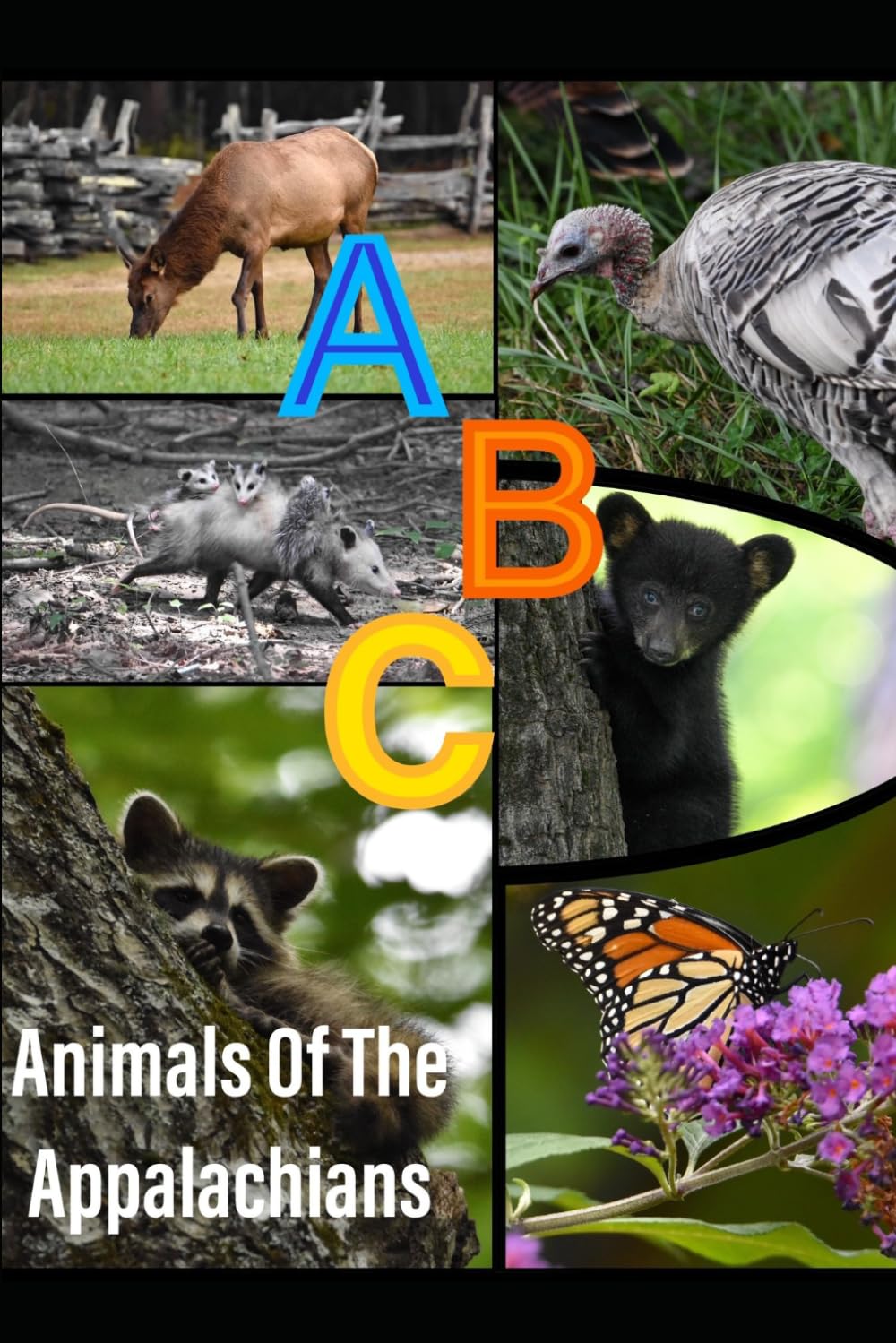 ABC's Animals of The Appalachian Mountains