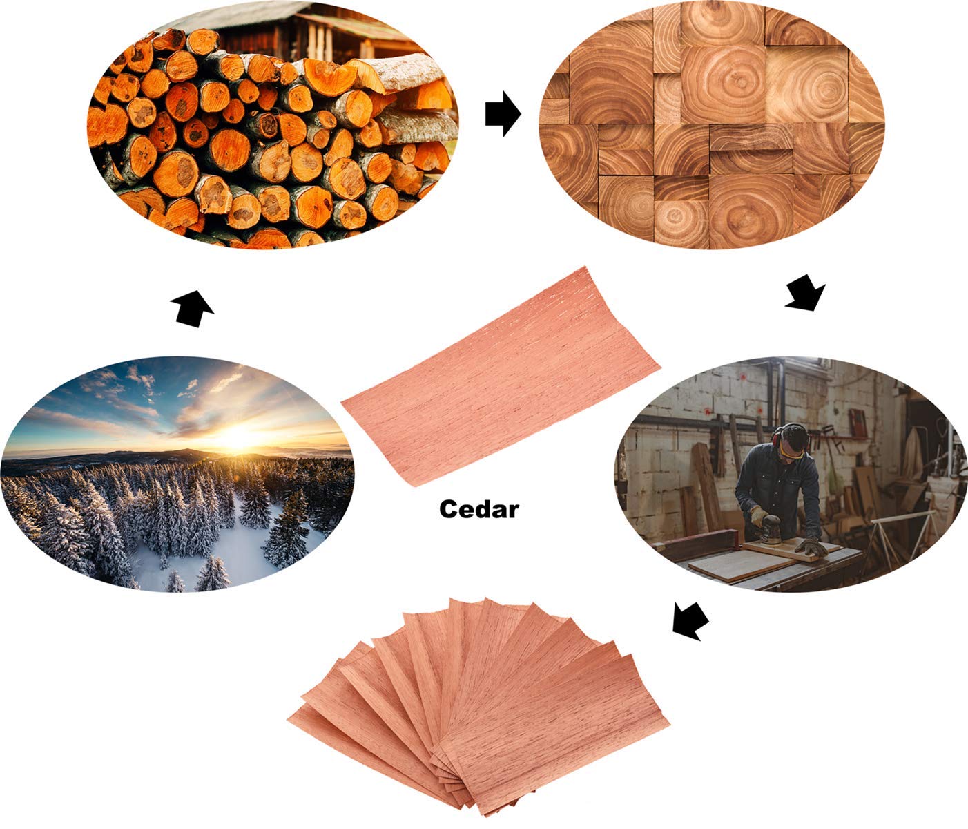 Didiseaon 10 Feuilles De Cèdre Espagnol Pour Humidificateurs - Placage Bois Pour Boîtes Et Cigares