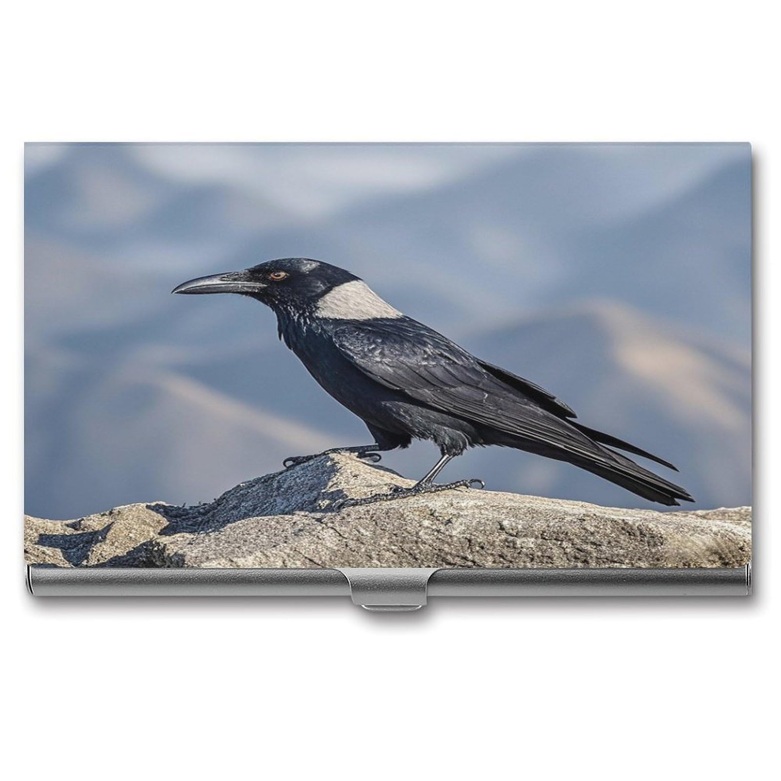 FekiLoot Black Crow Birds Business Card Holder for Men Women Metal Slim Organizer Business Card Carrier Wallet Name Cards Holder Retro Slim Pocket Purse Small Portable Card Case