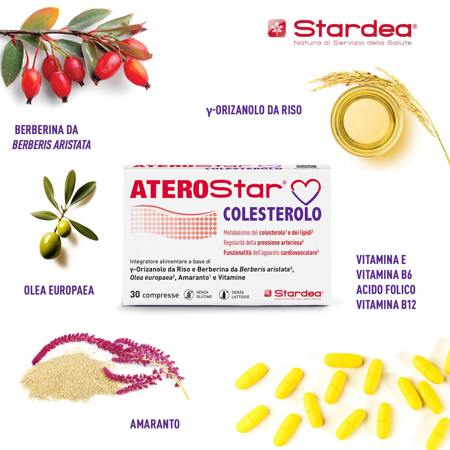 Aterostar Colesterolo - Integratore con Berberina 500 mg – 30 giorni - Integratore senza riso rosso fermentato, Monacolina K, con γ-Orizanolo, Olea Europaea e Vitamina B6 E B12 – 30 cpr - Stardea