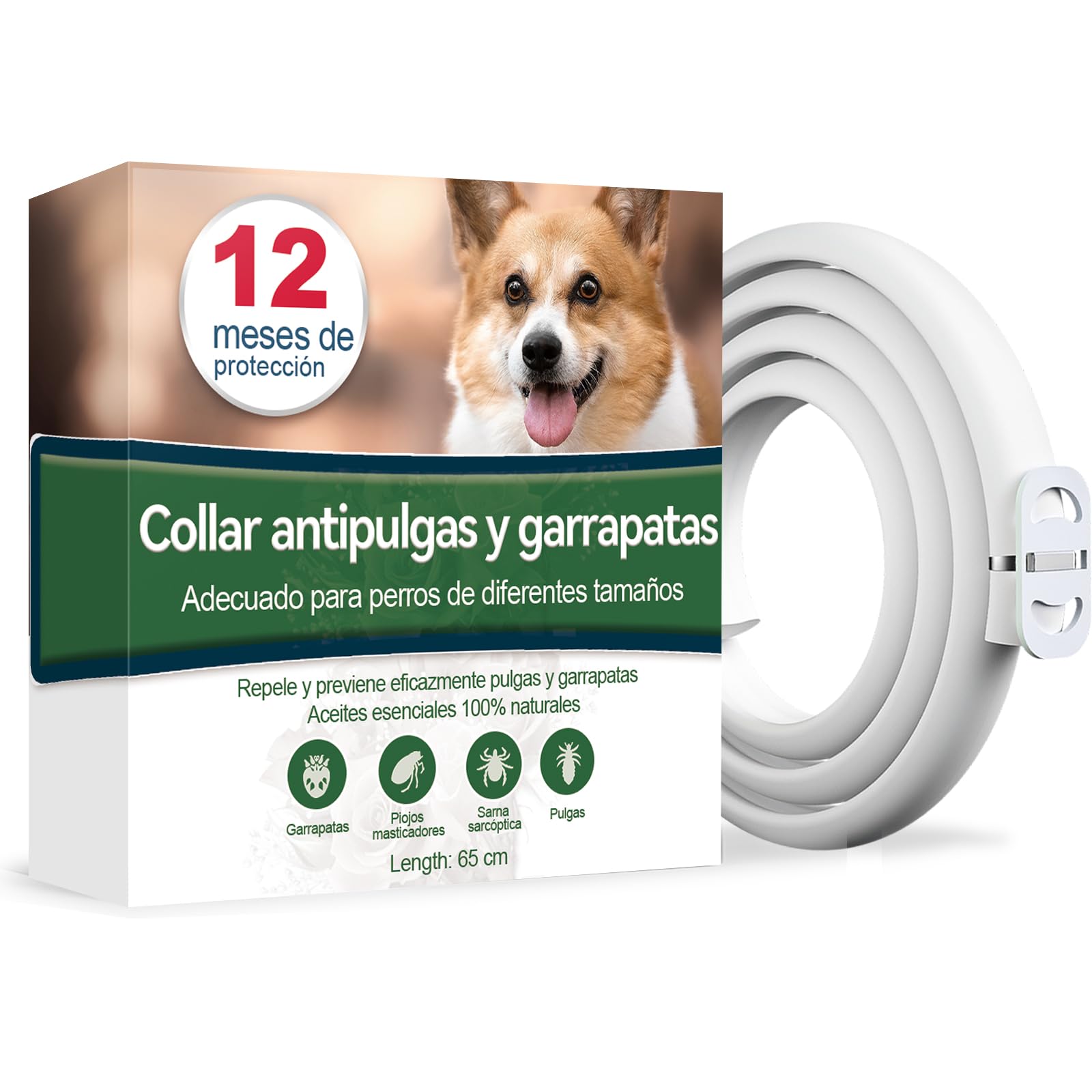 Collar Antiparasitario Perros, Seguro y Eficaz Collares Antiparasitos Perros, 65 cm para Perro Pequeños, Medianos y Grandes, 12 Meses de Eficacia Collar Antipulgas Perro (65cm)