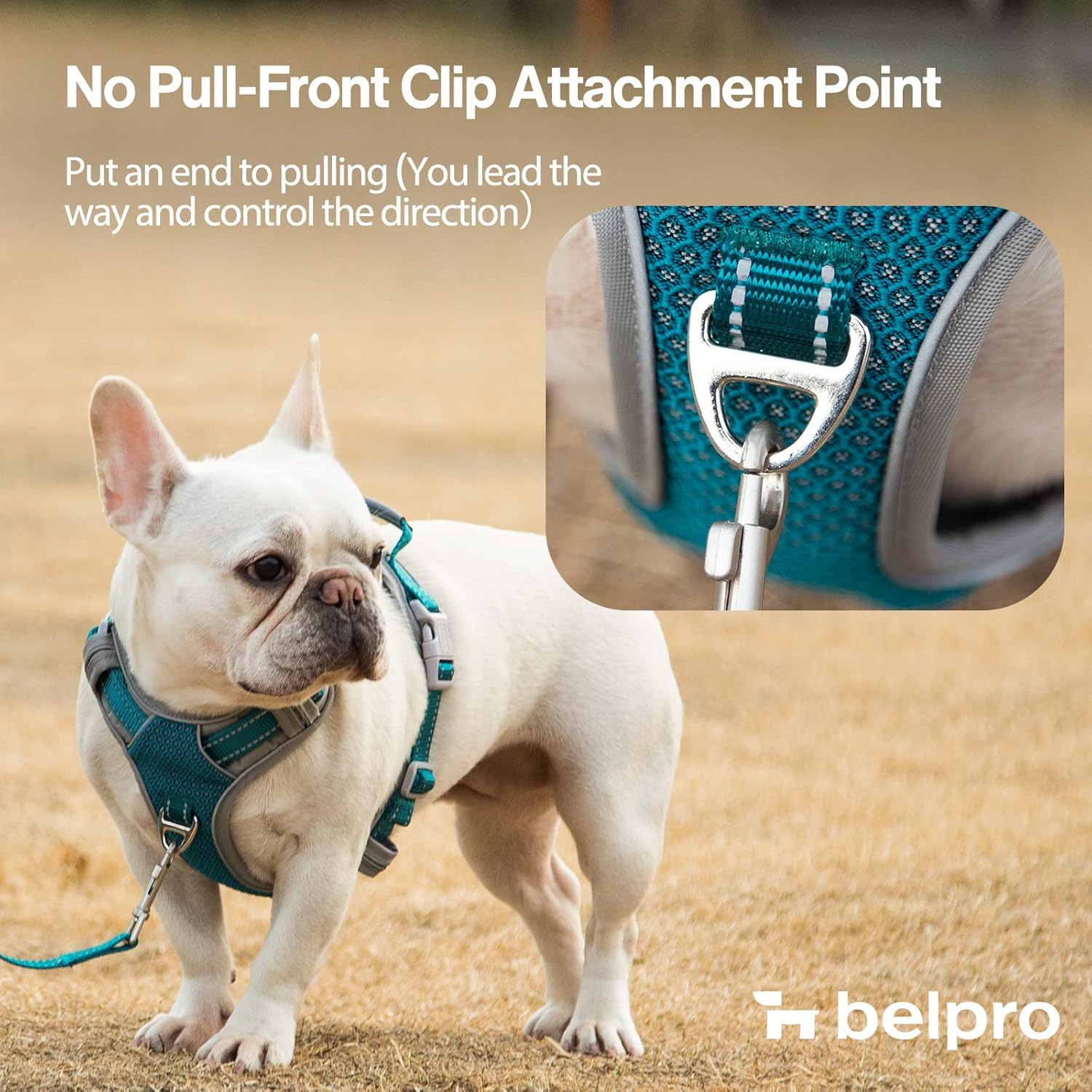 BELPRO Dog Harness No Pull, Front Clip Harness for Small Dogs, Full