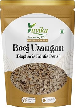YUVIKA Beej Utangan | Utangan Beej - Blepharis Edulis Pers 200 Grams