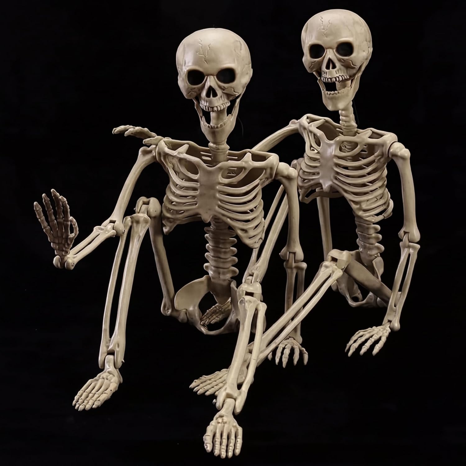 Halloween Skeleton 2 Pack 40 Inches Pose-N-Stay Life Size Full Body Realistic Posable Movable Jonints Spooky Haunted House Props for Halloween Party Indoor Outdoor Yard, Patio & Lawn Decoration Décor