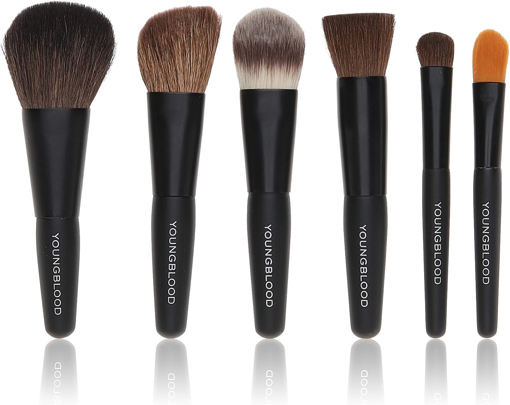 Youngblood Professional Mini 6pc Brush Set 6pcs
