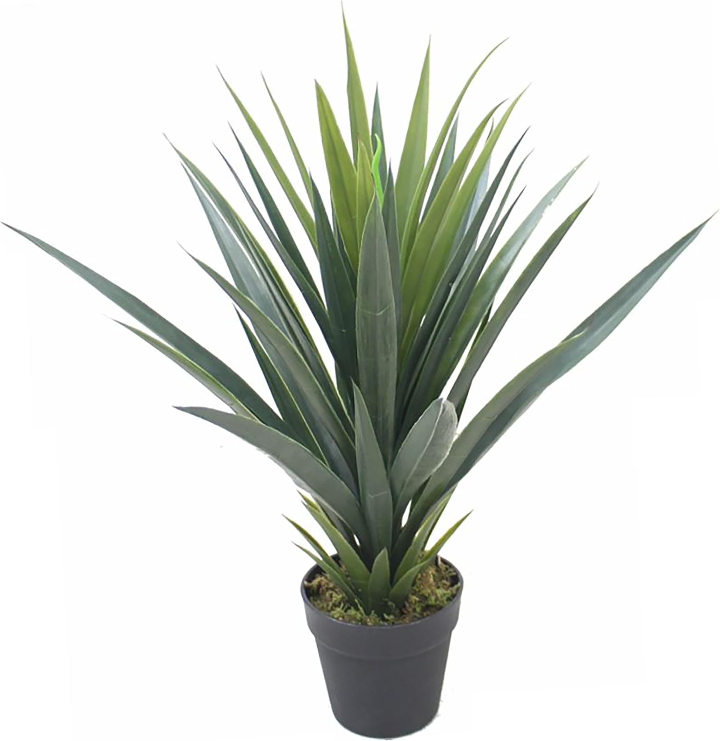 5 Stück Künstliche Pflanzen Mini Sukkulenten - Schlangenzunge Agave Kunstpflanzen