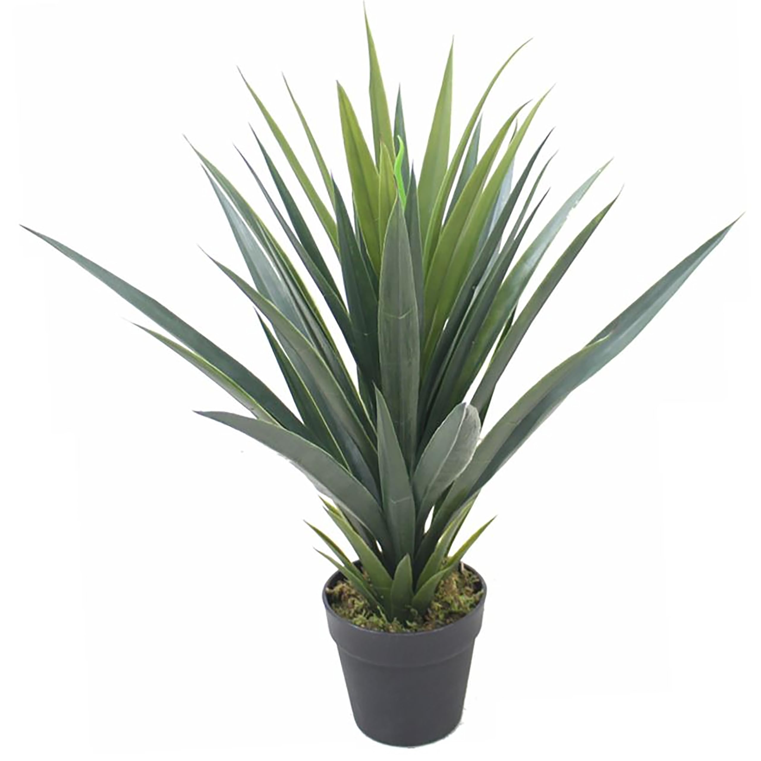 60cm Artificial Agave Succulent Plant - Yukka Style - Green Plastic Leaves - Realistic Replica - Leaf Brand