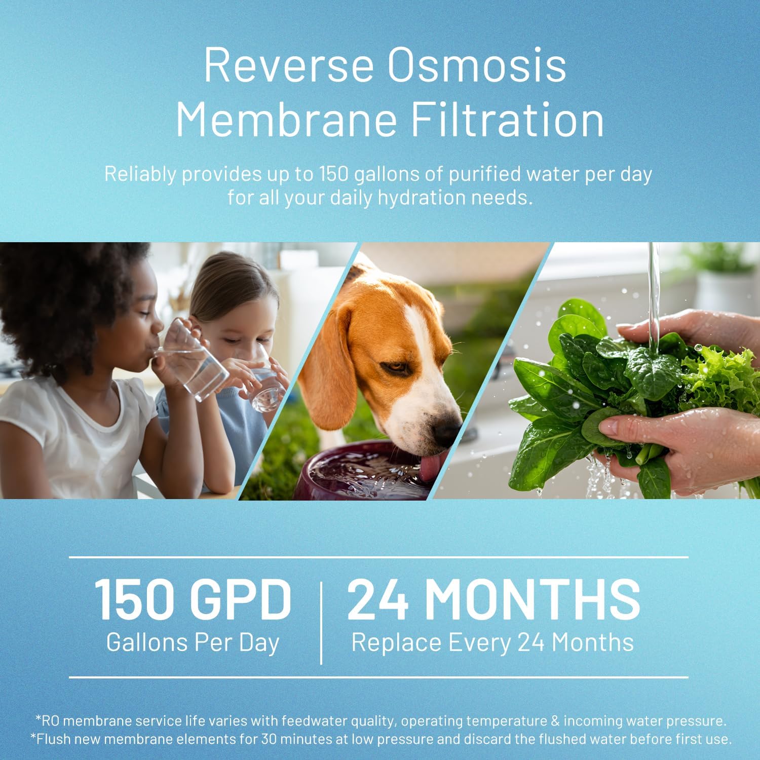 150 GPD RO Membrane Filter Replacement, 12" x 2" Standard Reverse Osmosis Membrane Element for Residential Undersink RO Drinking Water Filtration System (150 GPD)