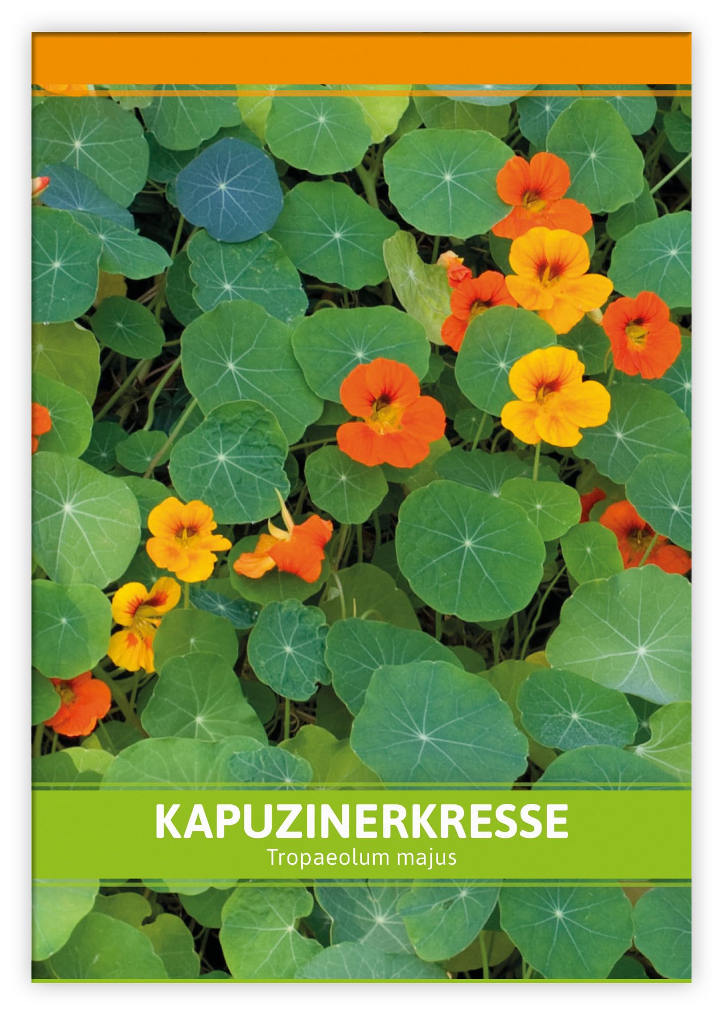 FLORTUS W5251-100x Kapuzinerkresse für Werbezwecke (100 Tütchen) (Kapuzinerkressesamen)