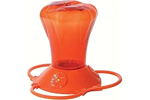 Practical Oreo Feeders Enhance Outdoor Bird Feeding with Ample Capacity