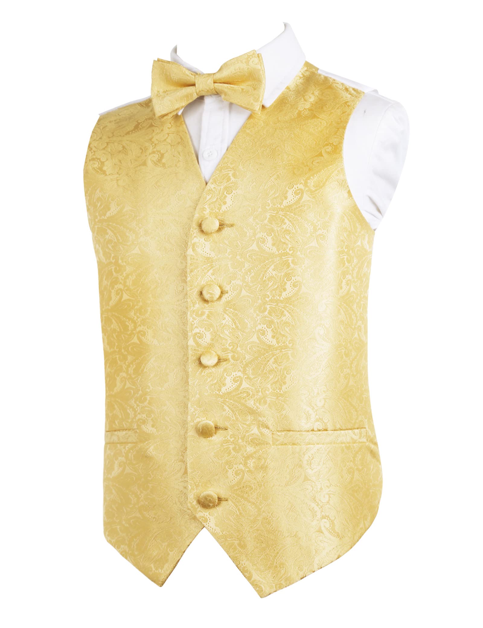 Alizeal Boys 2PCS Classic Pre-Tied Paisley Bow Tie Suit Vest Set