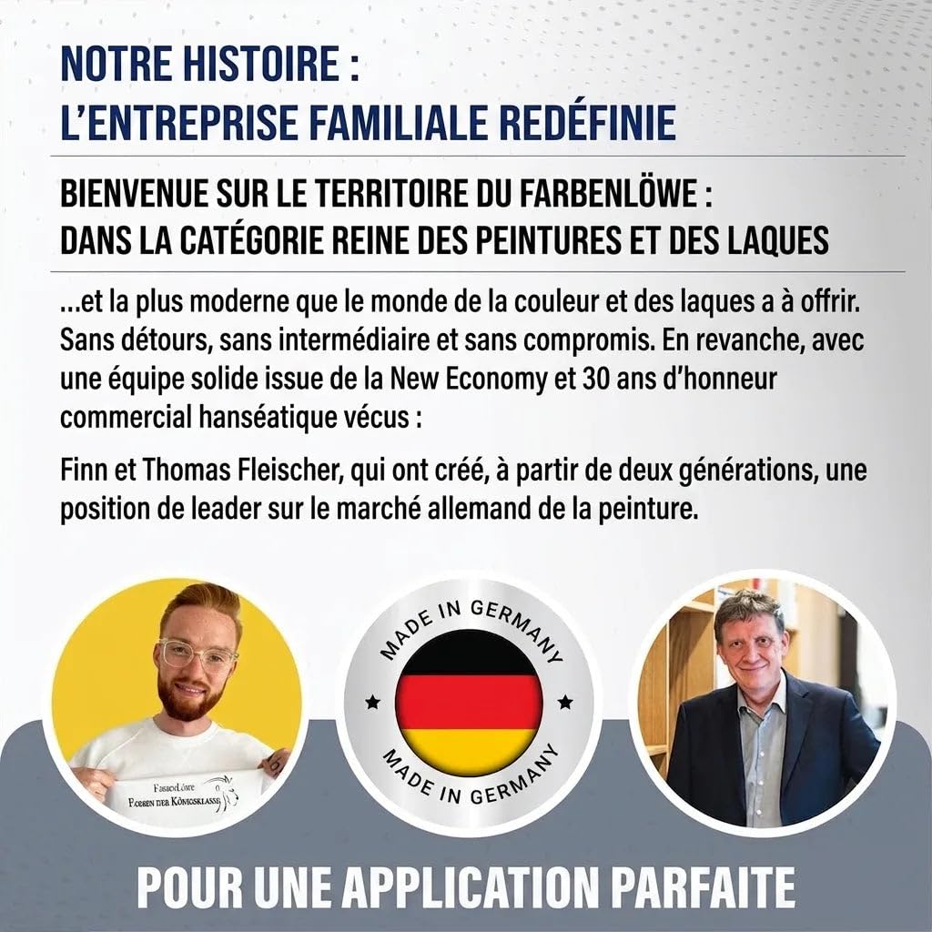 peinture béton extérieur satiné brun chocolat RAL 8017 marron – Peinture façade traditionnelle pour supports minéraux (pierre, mur, béton, façade, enduit, ciment) – Peindre & sceller (1 L) Lausitzer F