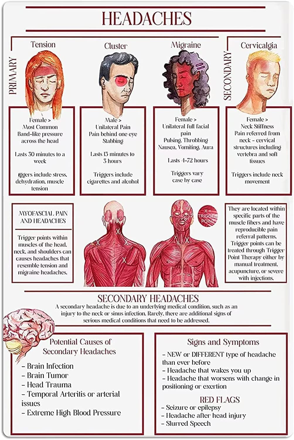 Peiyeety Headaches Infographic Knowledge Metal Signs Vintage Retro Poster Wall Art For Home Hospital Office Clinic Bedroom Cafe School Decor Plaque 8X12 Inch