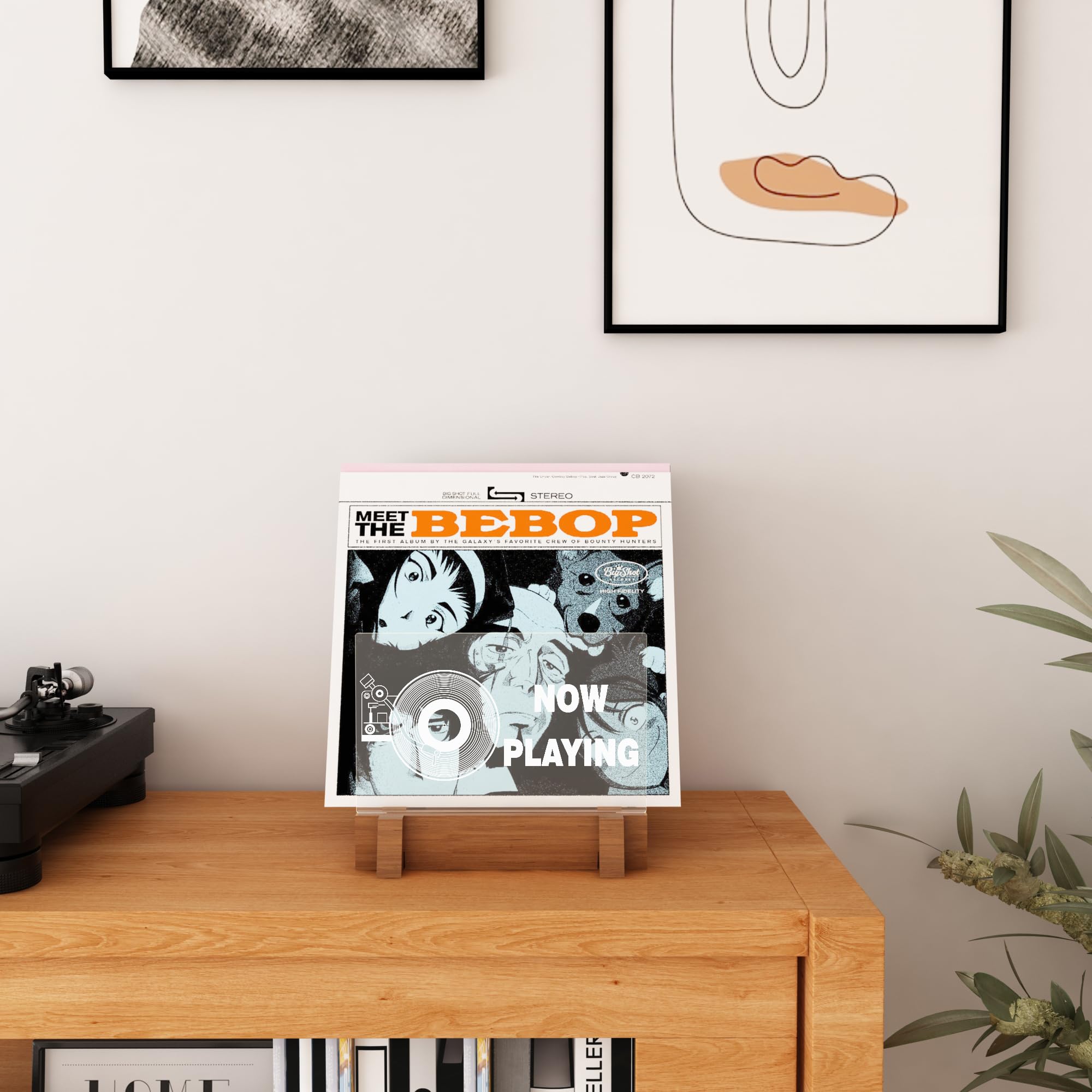 YuanDian Przechowywanie płyt winylowych, podświetlana drewniana akrylowa półka do ekspozycji i przechowywania albumów winylowych z ciepłymi białymi światłami, stojak na kolekcję płyt winylowych z