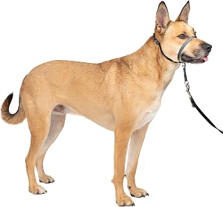 PetSafe Gentle Leader No-Pull Dog Headcollar - The Ultimate Solution to Pulling - Redirects Your Dog's Pulling for Easier Walks - Helps You Regain Control - Medium, Charcoal