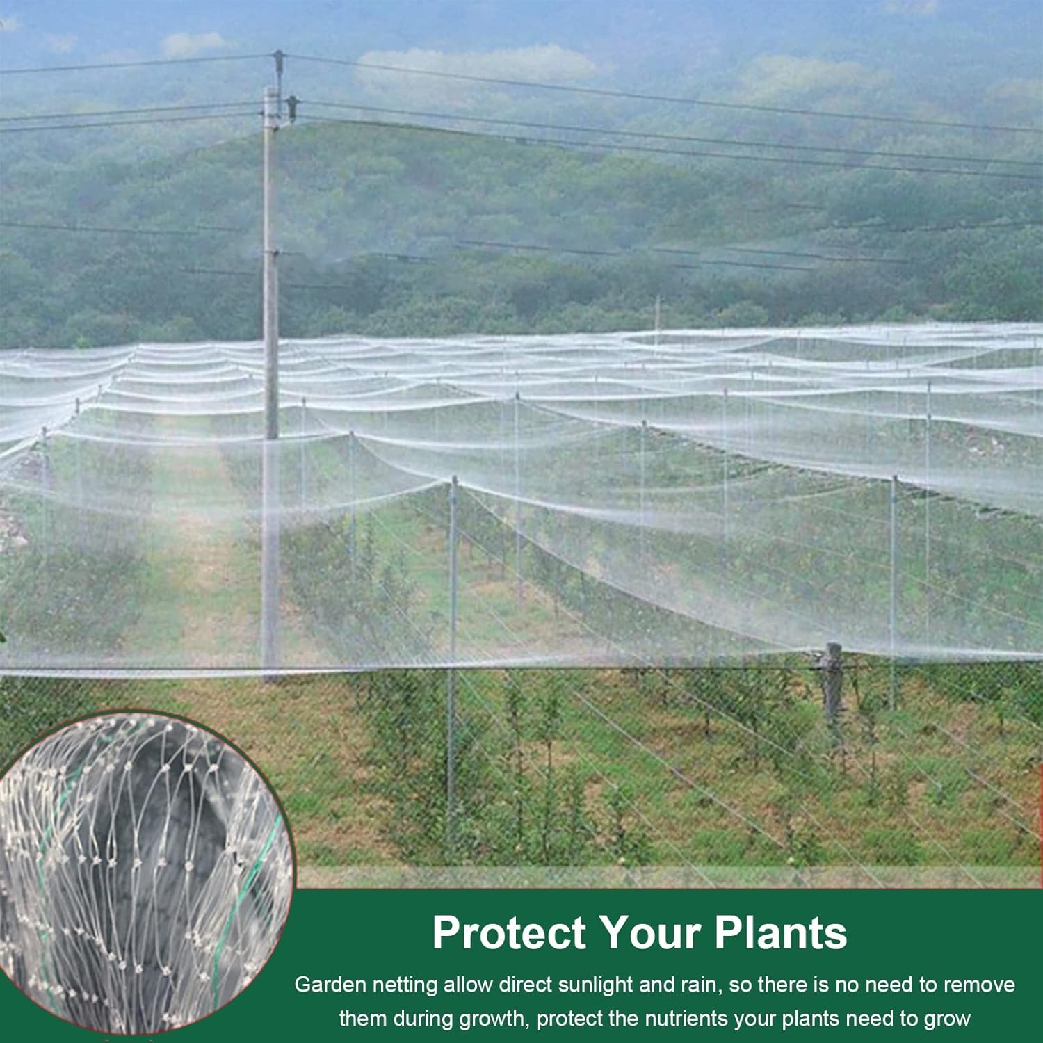 Chicken Plastic Wire Fencing Mesh Bird Netting for Blueberry Bushes, Large White Nylon Mesh/Critter Fence/Plants Protect Net, 5/10/20/30/40/50 M Width(7mx10m/22.9ftx32.8ft)