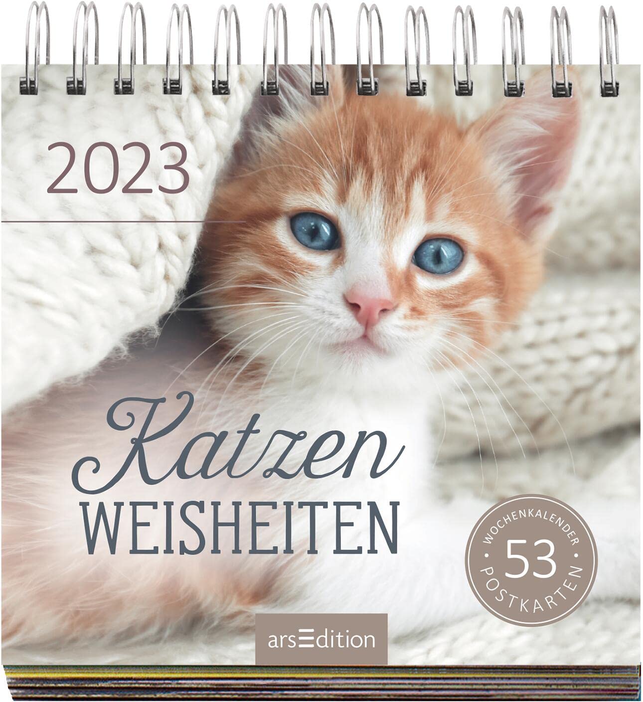 Display Postkartenkalender 2023: Mit 20 x 3 Ex. | Wochenkalender 2023, 53 Postkarten zum Abtrennen und Verschicken