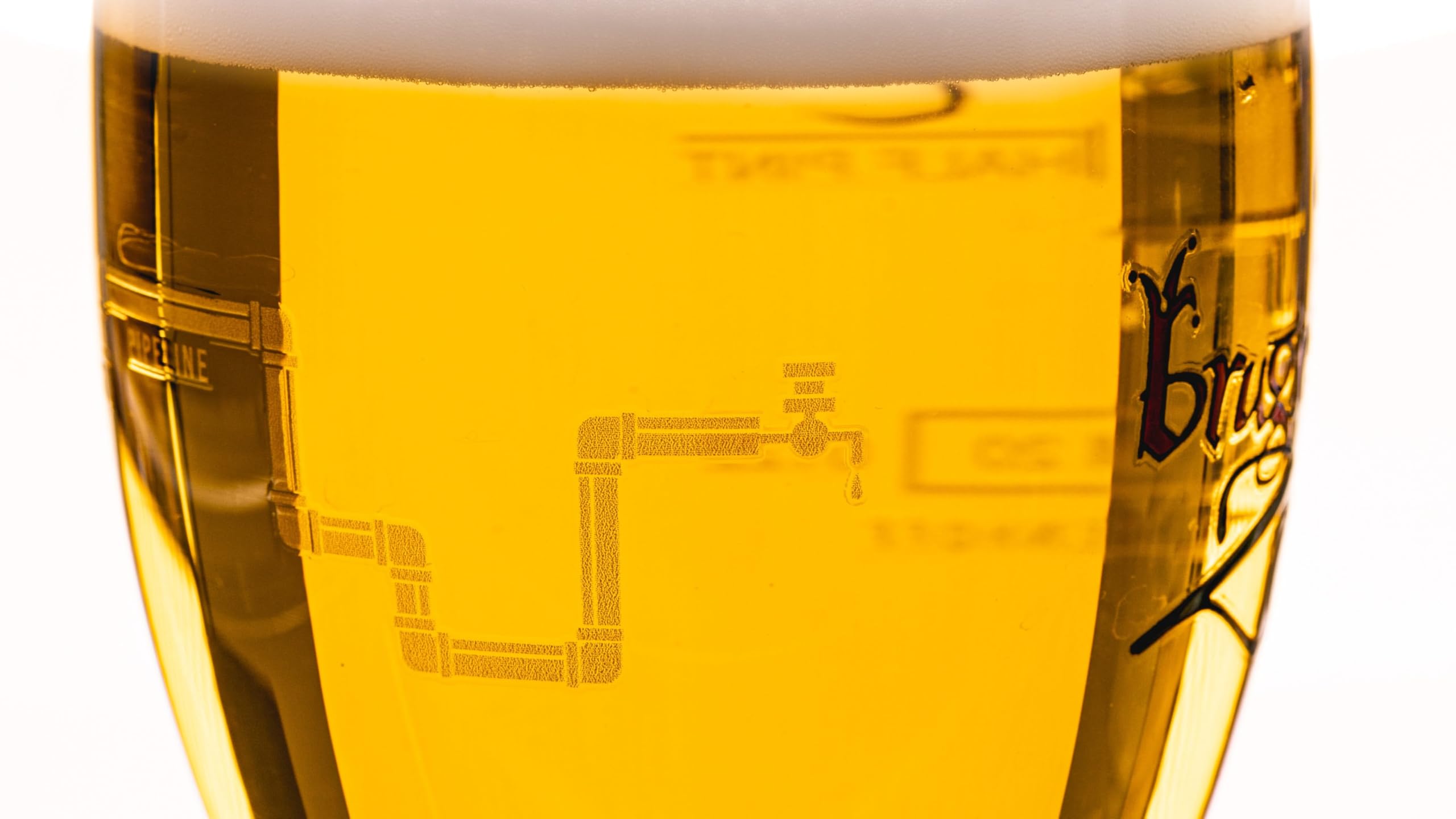Brugse Zot Verres à bière 330 ml - 6 pièces