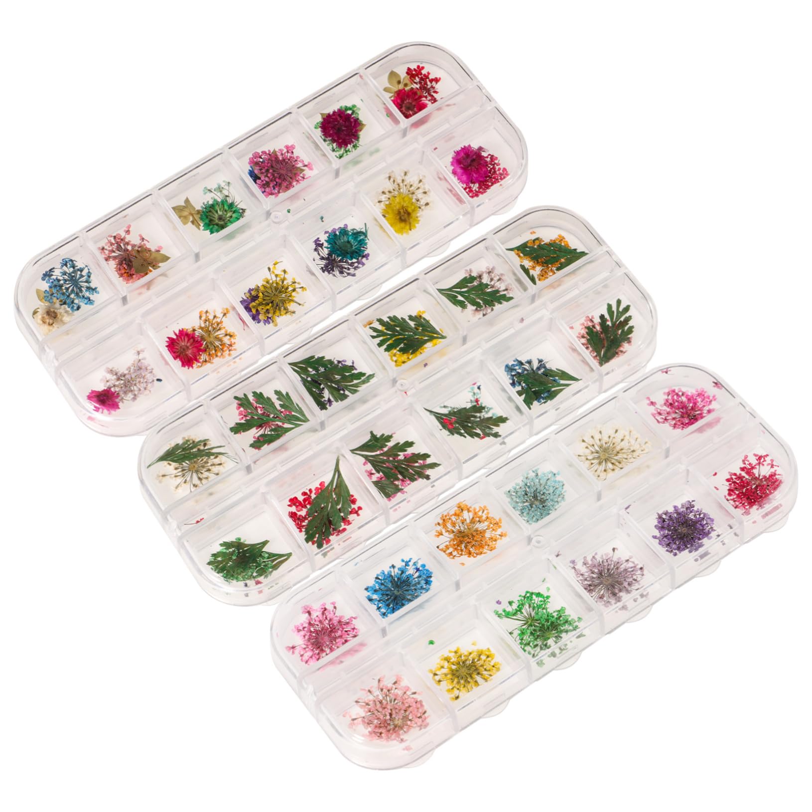 Amosfun Fleurs Séchées Naturelles pour Résine Époxy Kit De Boîtes pour Artisanat De Et Bougie Décoration Créative Parfum Naturel Et Éclat