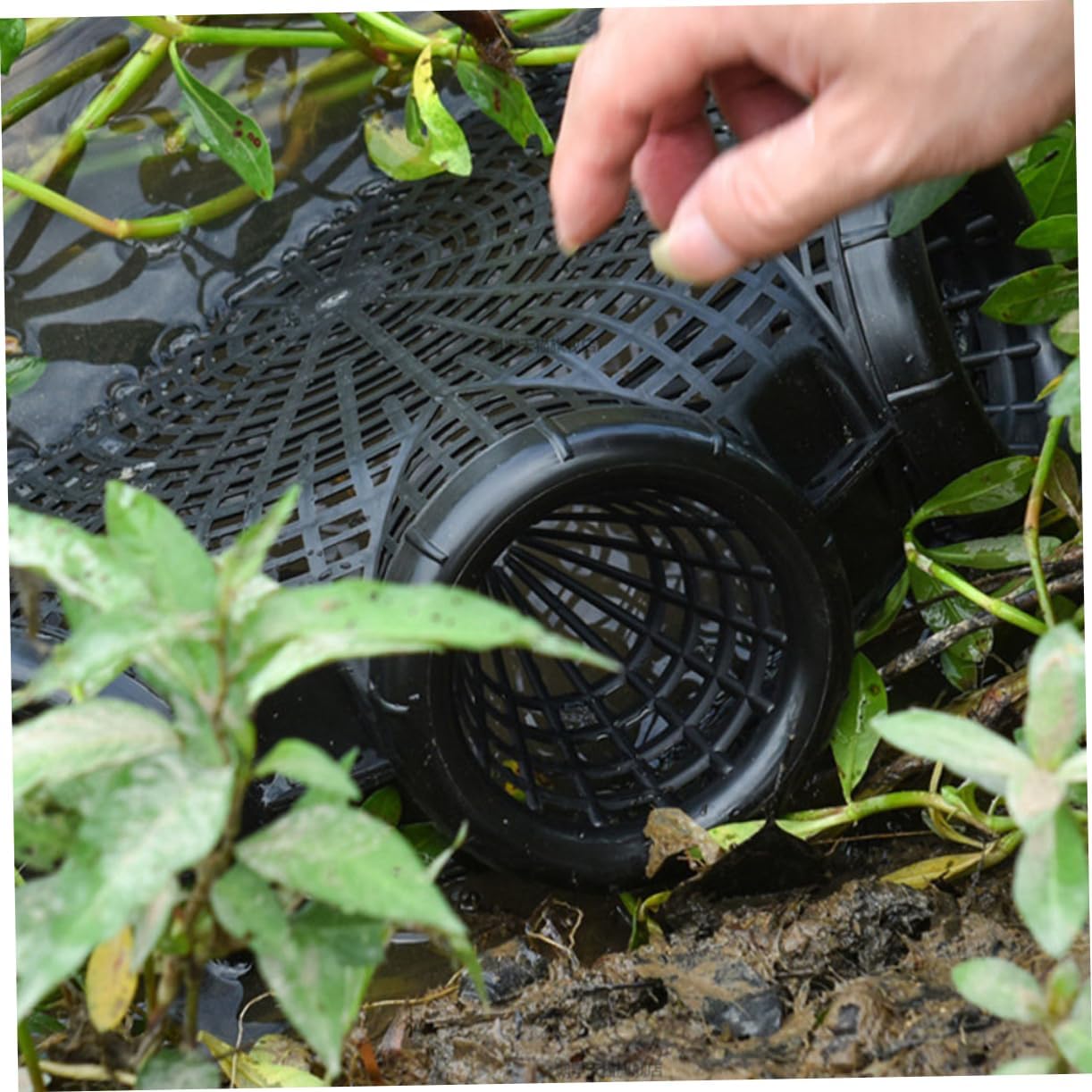 2pcs Fish Trap Bait Cage Lure Holder Pp Material Lightweight for Outdoor Fishing