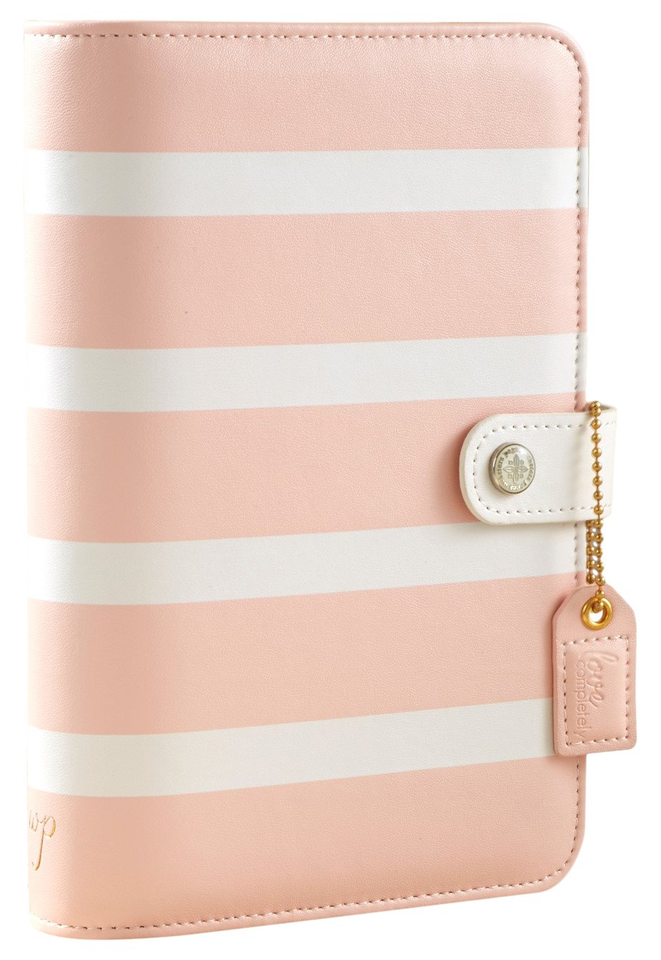 Webster's Pages Blush Stripe Personal Planner Binder (WPCP001-BS)