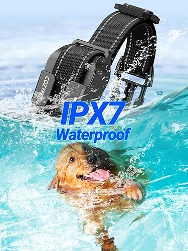 Miniatura 3 de Collar de choque para perros con control remoto, collar de entrenamiento recargable para perros, collar de descarga eléctrica para perros de 60 a