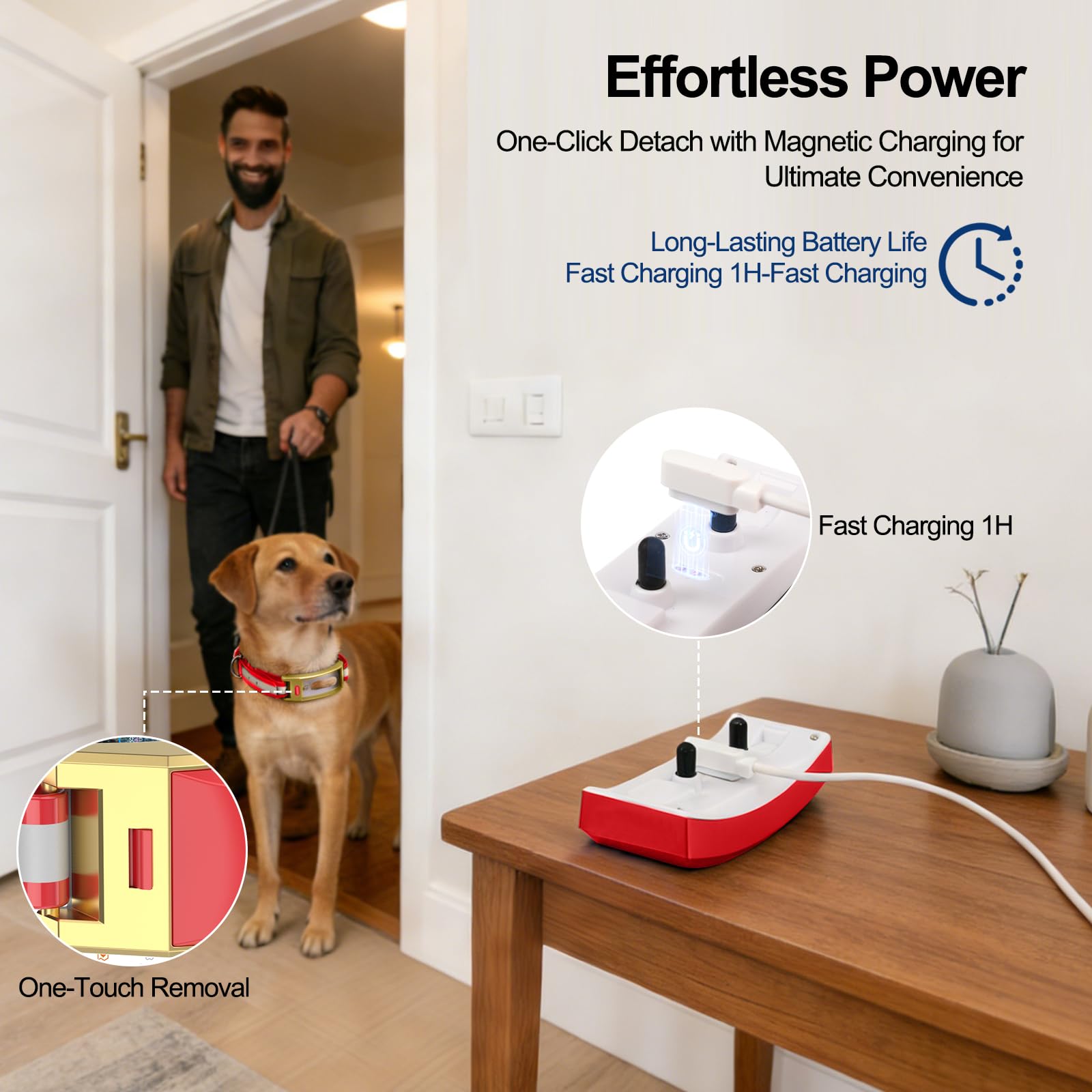 Wireless Electric GPS Dog Collar Fence for Dog with Free App: Upgrade Invisible Pet Shock Barrier Containment System Yard Outdoor Perimeter - Stubborn Dog Train Bluetooth Collar for Dog Parent - image 3