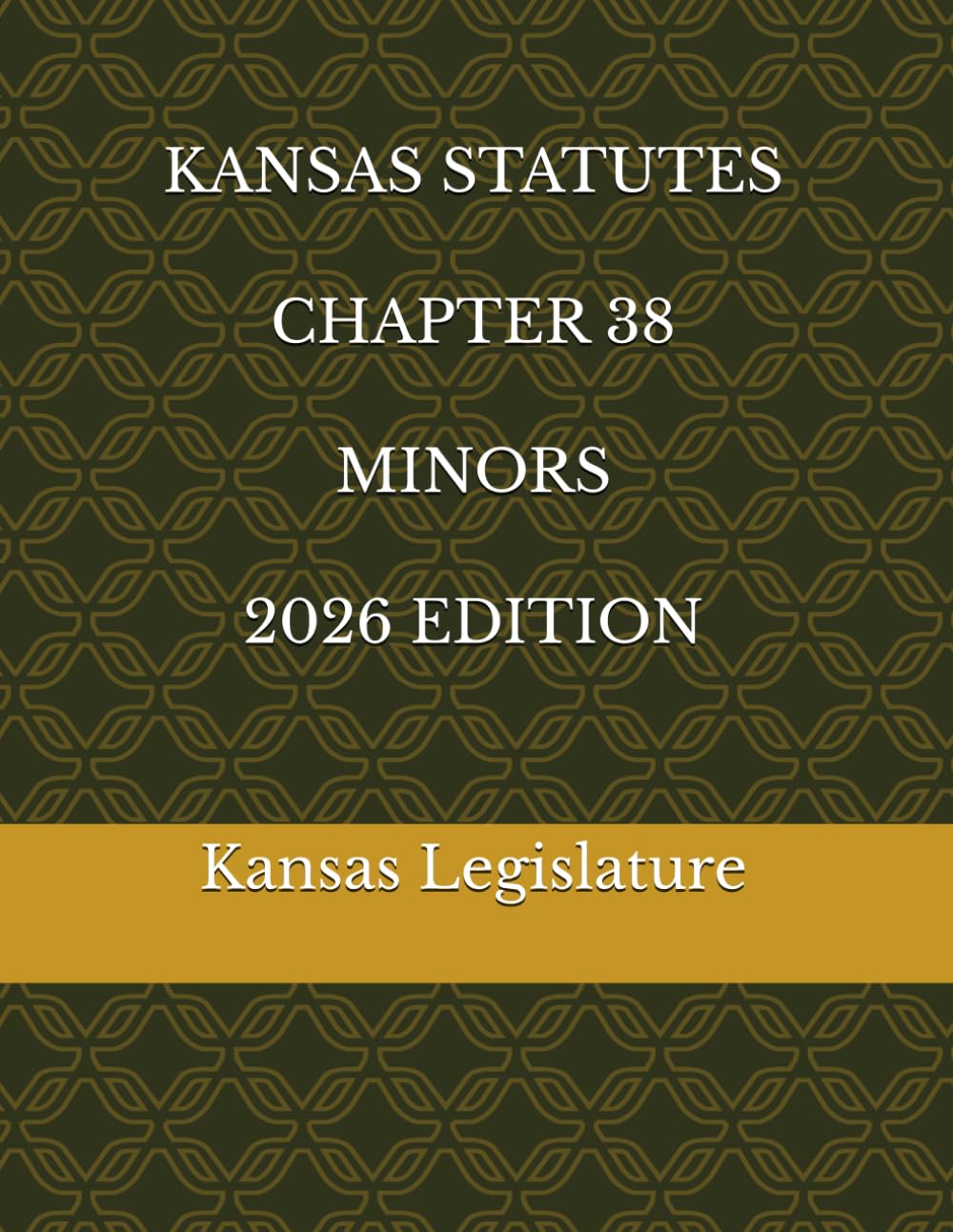 KANSAS STATUTES CHAPTER 38 MINORS 2026 EDITION