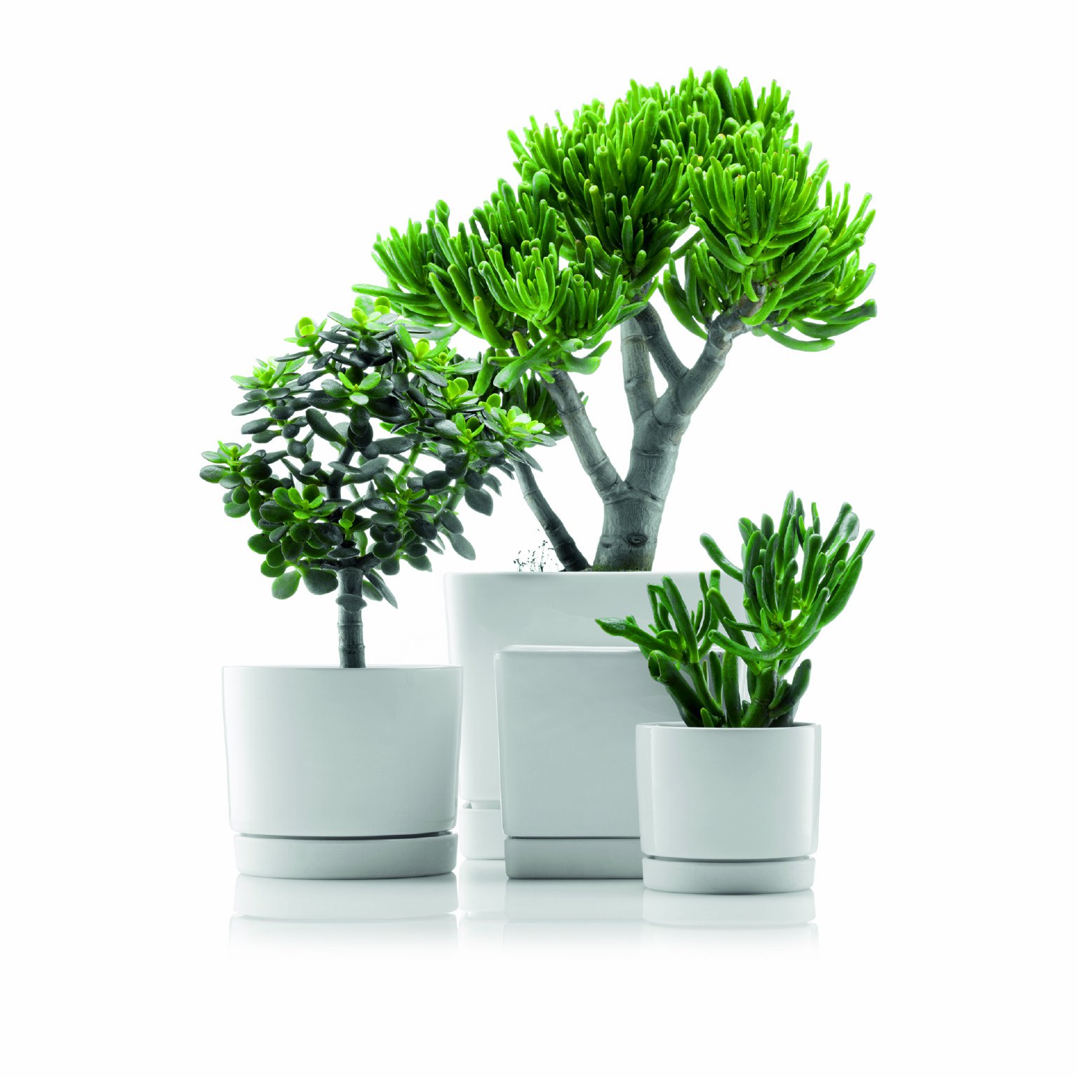 Bodum POT Blumentopf, groß, viereckig, 21x21x18.5 cm, Steingut, weiß