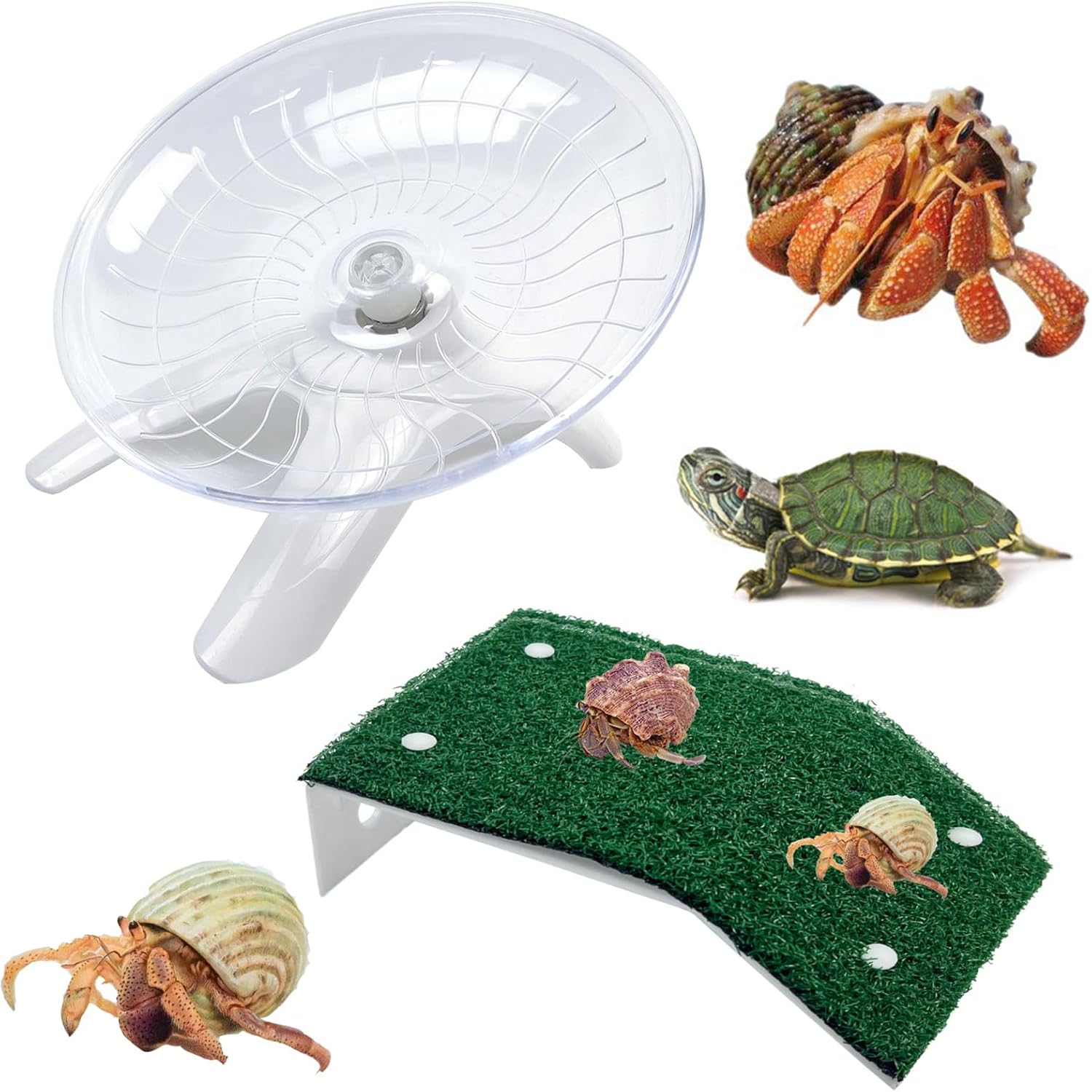 Rainmae 2 Pcs Hermit Crabs Wheel Toy, Hermit Crab Climbing