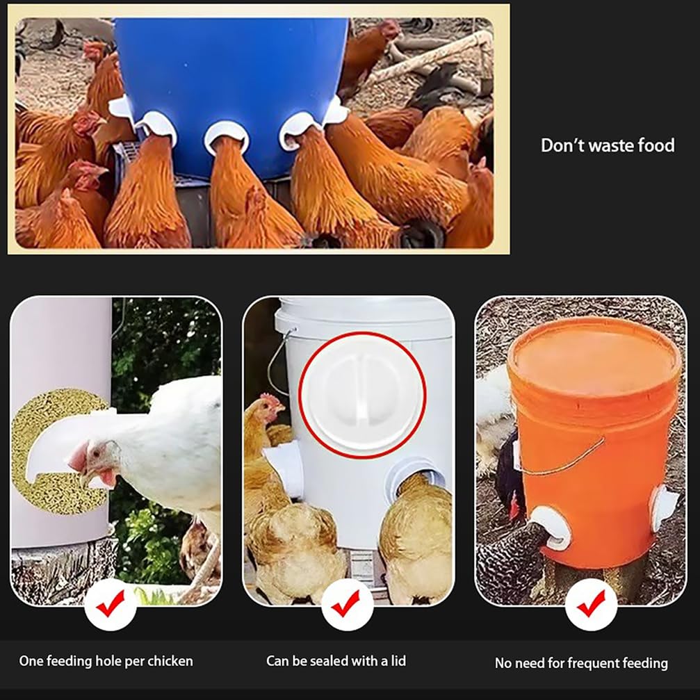 Mangiatoia Automatica per Polli, Mangiatoie di Piccole Dimensioni, Sistema di Alimentazione Pollame Senza Sprechi, 1/2/3/4/5/6 Fori, Accessori per Pollai da Esterno,Orange/c