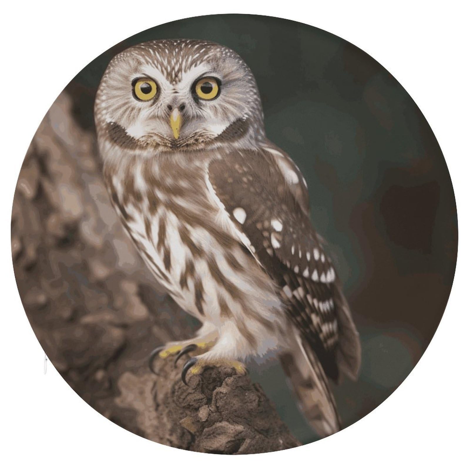 JTREHY Wildlife Animal Owl Cushion Soft Breathable Round Cushions Multi-Functional with Zipper Floor Pillows Cushion for Various Indoor Occasions Chair Pad
