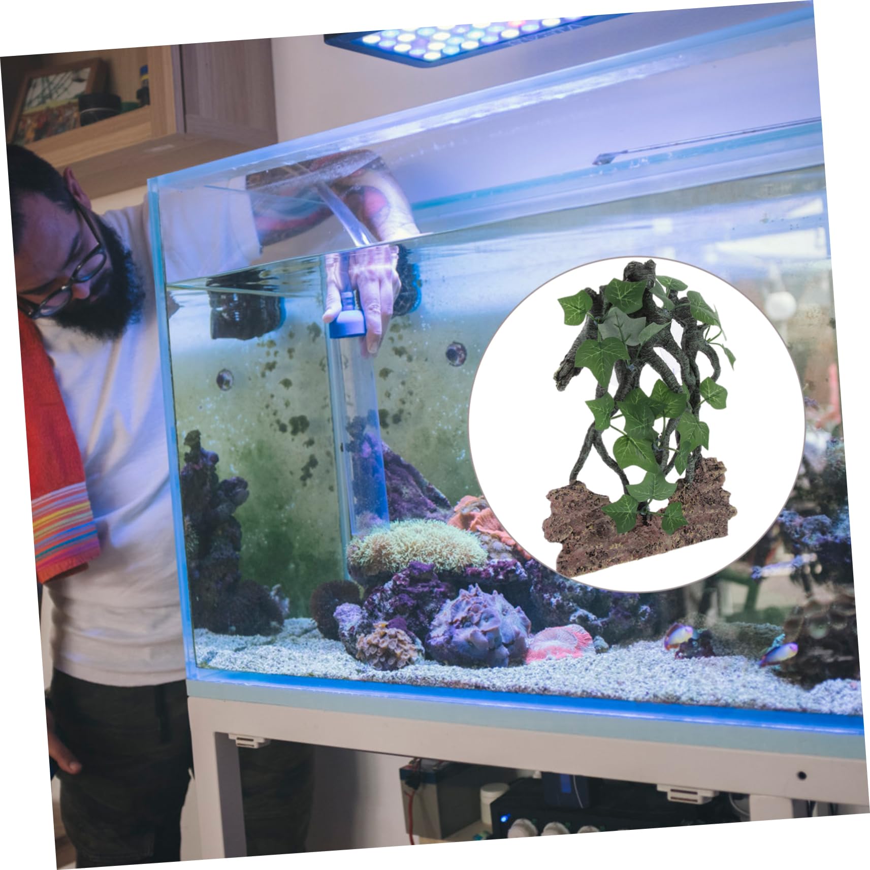 Ramo Rampicante in Resina per Rettili, Decorazione Terrario | Serpenti e Lucertole, Sicuro e Insapore, Salvaspazio, Ornamento per Vasca e Allestimento Habitat
