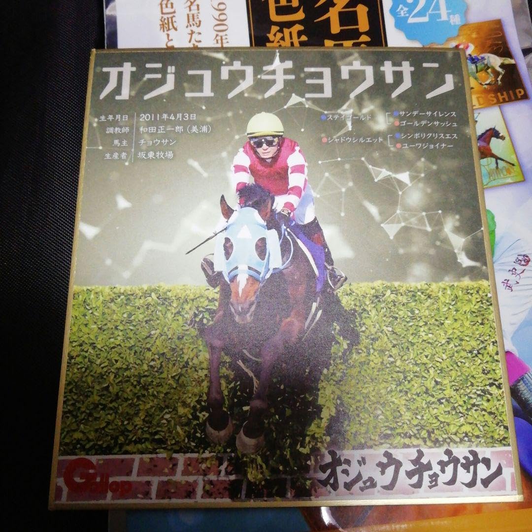 オジュウチョウサン　騎手箔押しサイン入りミニ色紙 2025年最新】オジュウチョウサン 色紙の人気アイテム - メルカリ