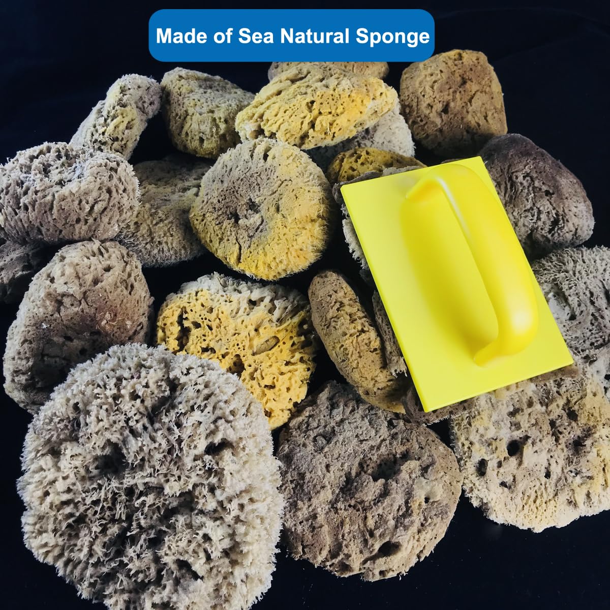Prettyhome Natural Sea Sponge Stippling Paddle – Wall Texture Painting Tool For Creating Fine Patterns | Reusable Sponge Brush For DIY Home Decor - View #5