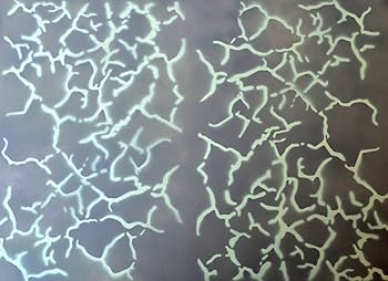 Asphalt Poetry – Harmagedion Limited200 YOU WILL NEVER SEE THESE 24x14 RUTHLESS FORGED WHEELS AGAIN