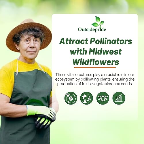 Miniatura 6 de Outsidepride Mezcla de semillas de flores silvestres del medio oeste - 5 libras