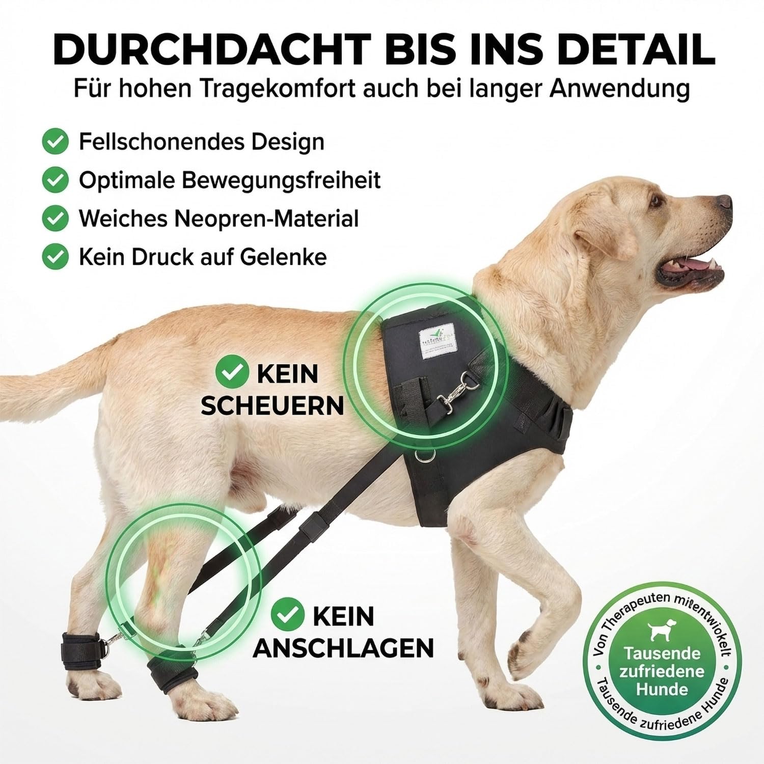 FlexiPander - Arnés de Entrenamiento para Perros con Problemas en la Cadera y en Las Patas traseras XL