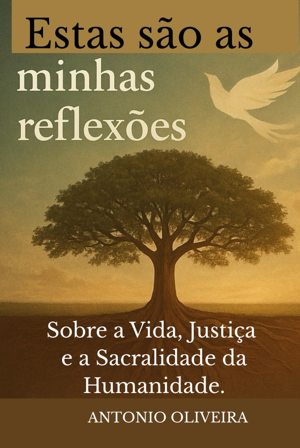 Estas São as Minhas Reflexões: Sobre a Vida, justiça e a sacralidade da humanidade.