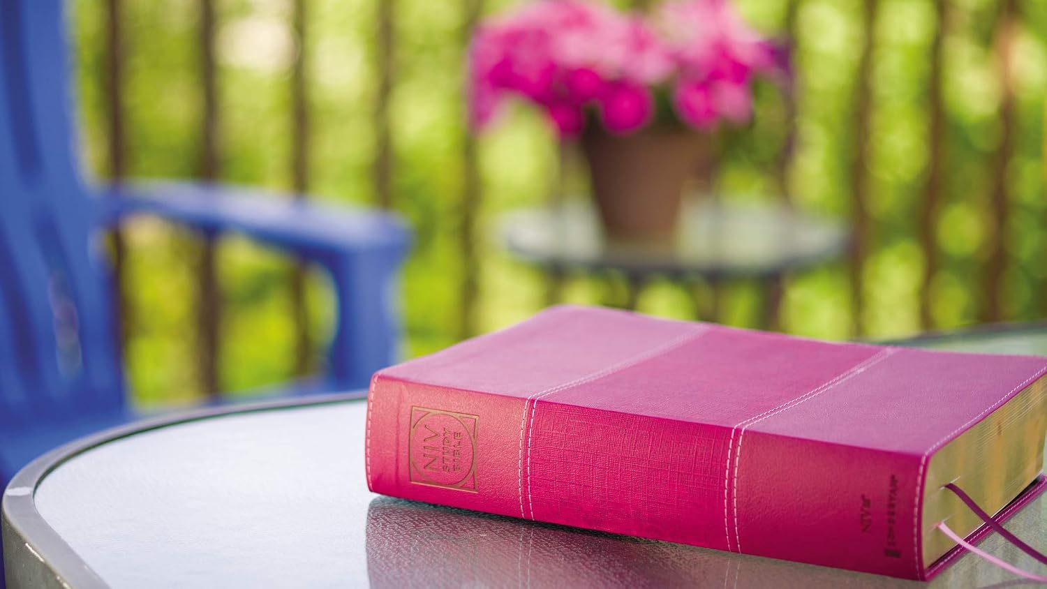 NIV Study Bible, Fully Revised Edition (Study Deeply. Believe Wholeheartedly.), Large Print, Leathersoft, Burgundy, Red Letter, Thumb Indexed, Comfort Print
