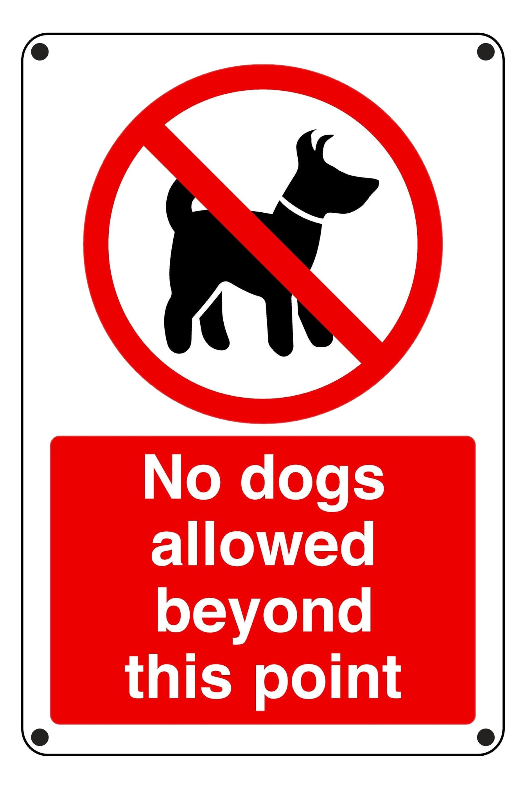 No Dogs Allowed Beyond This Point - safety sign - 1.2mm Pre-Drilled Rigid plastic for indoor/outdoor usage (300mm x 200mm) Viewing Distance within 7m.