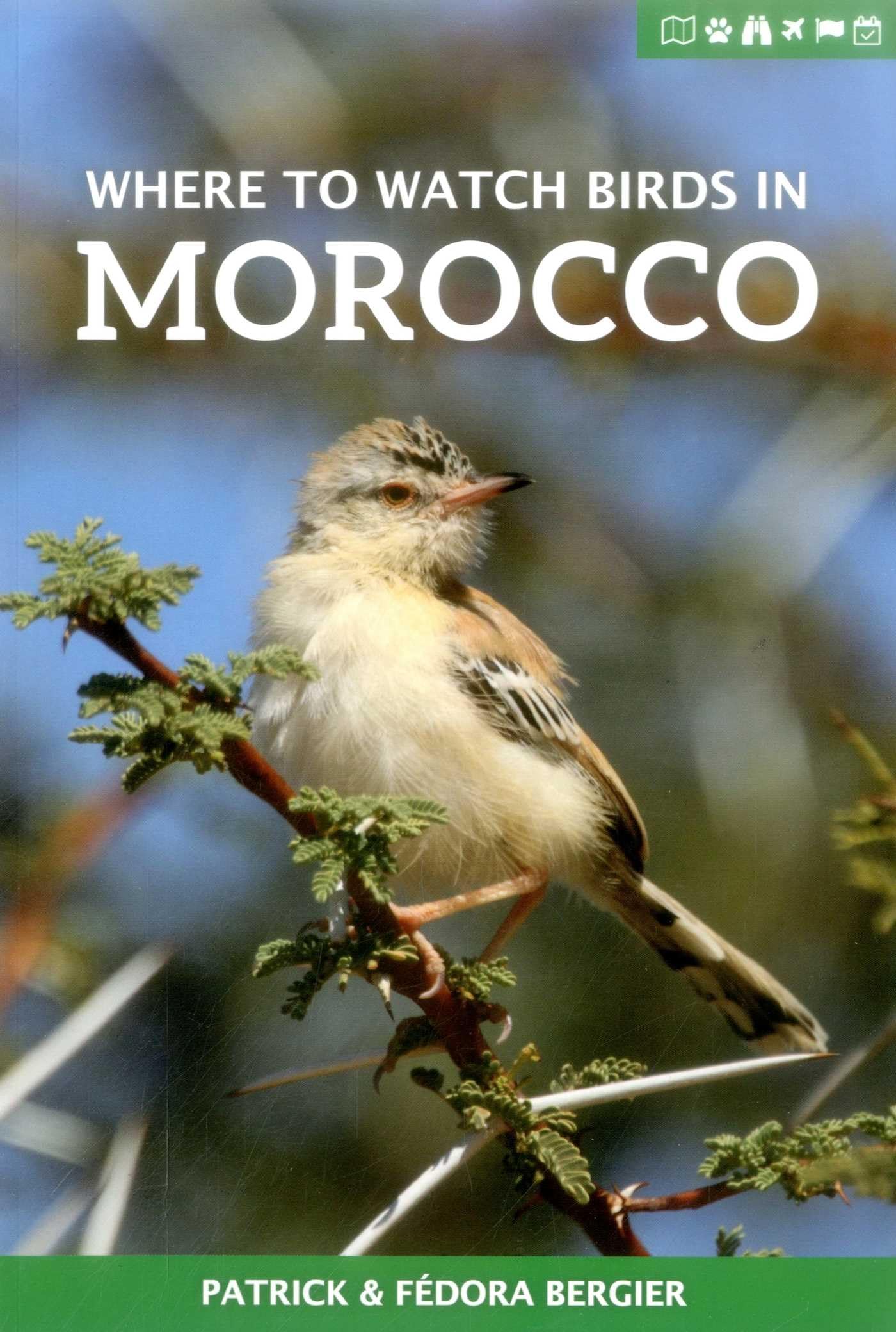 Where to Watch Birds in Morocco by Fedora Bergier, Patrick Bergier ...
