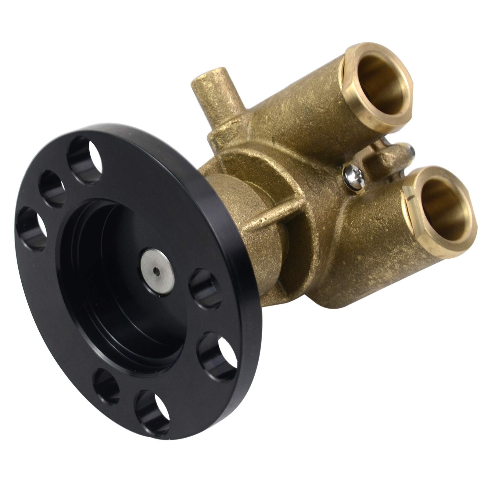 Amazon.com: XXSR #855722 841640 856513 RAW SEA WATER PUMP : Tools