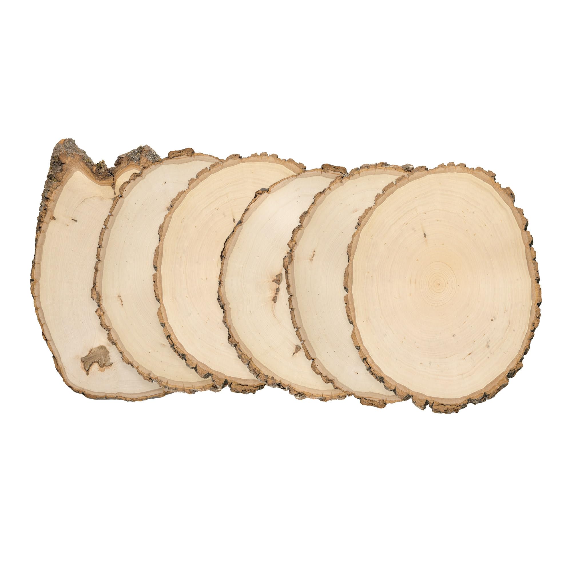 Rondins de bois en tilleul rustique de qualité supérieure pour pyrogravure | Lot de 6