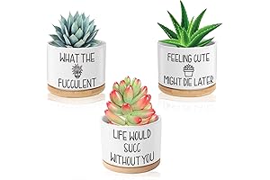 Feeling Cute Might Die Later Pot